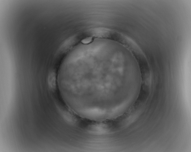 X0000115510696200911061357