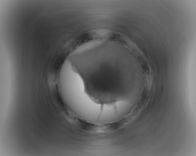 X0000115510701200911061356