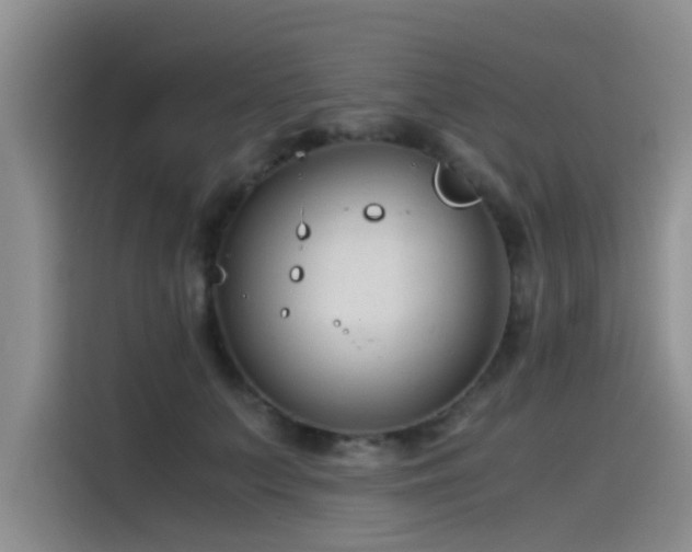 X0000115510703200911061356