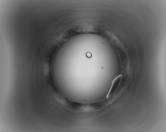X0000115510704200911061356