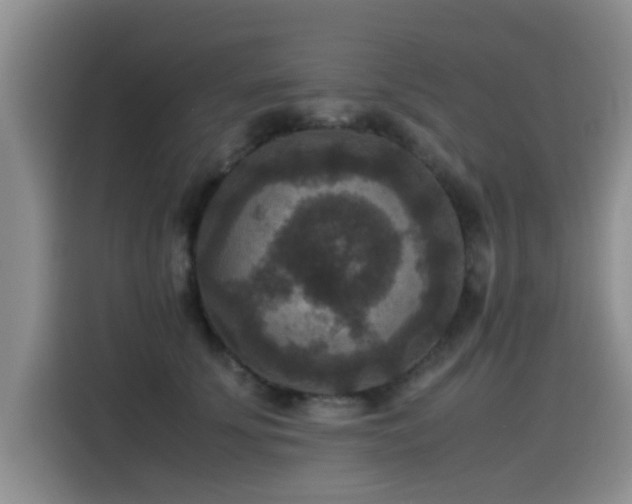 X0000115510707200911061356
