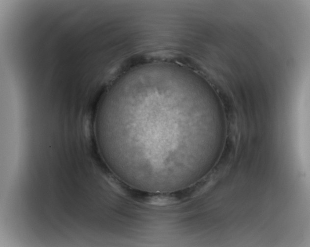 X0000115510708200911061356