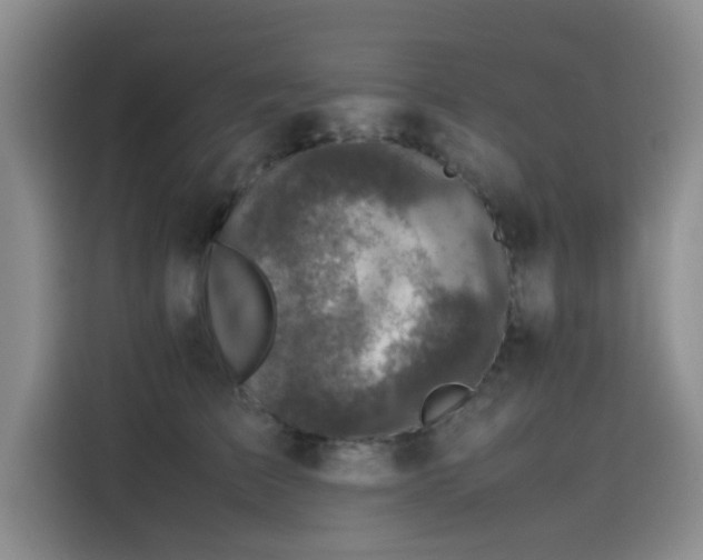 X0000115510709200911061356