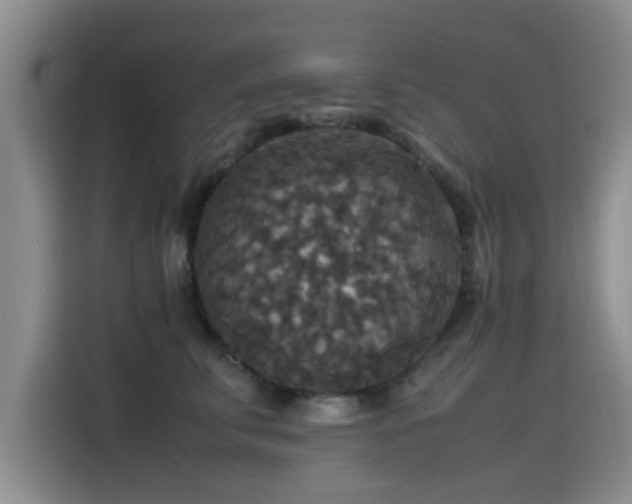 X0000115510711200911061356