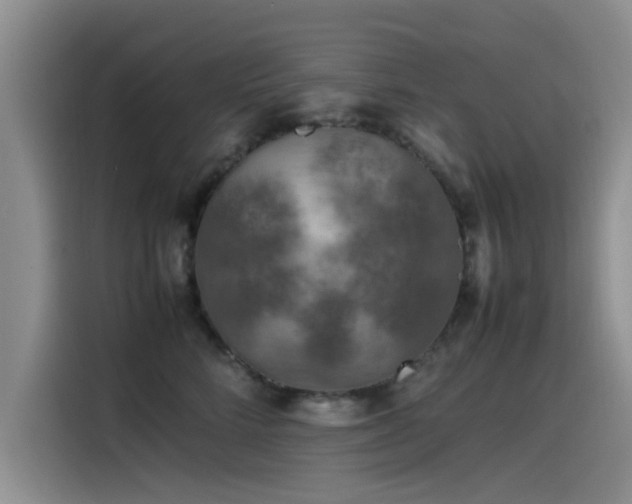 X0000115510712200911061356