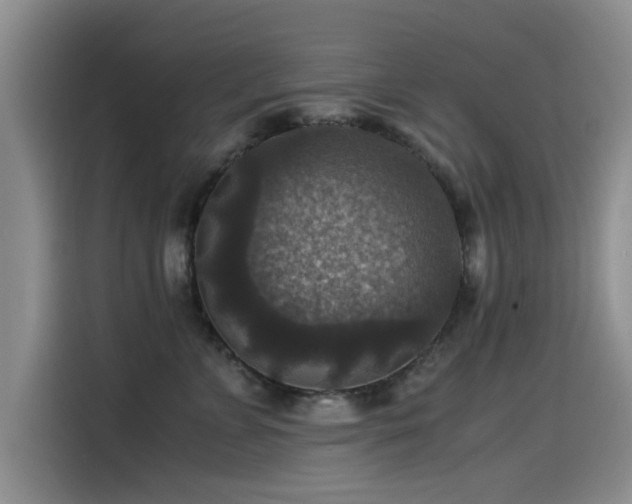 X0000115510715200911061356