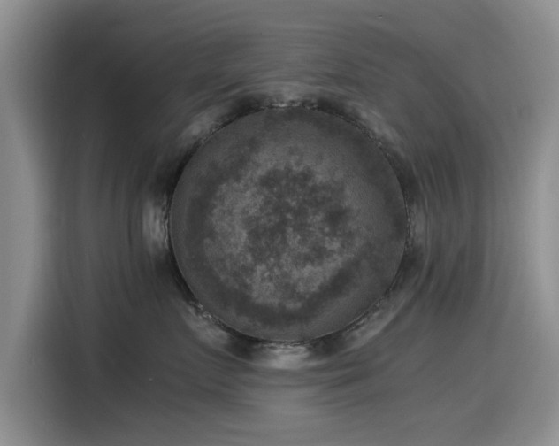X0000115510719200911061356