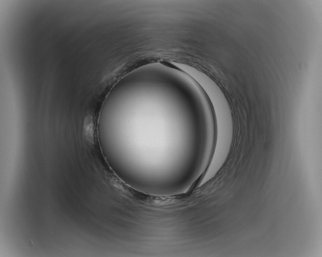 X0000115510720200911061356