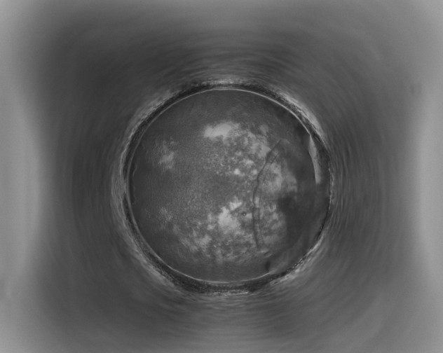 X0000115510721200911061356