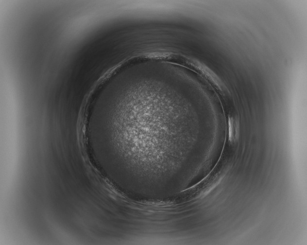 X0000115510723200911061356