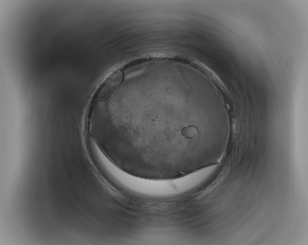 X0000115510725200911061356