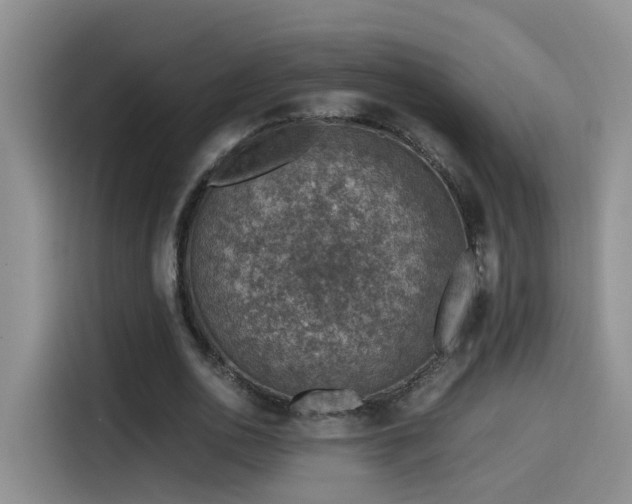 X0000115510726200911061356