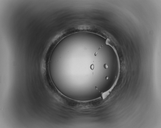 X0000115510727200911061356