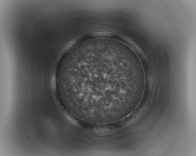 X0000115510729200911061356