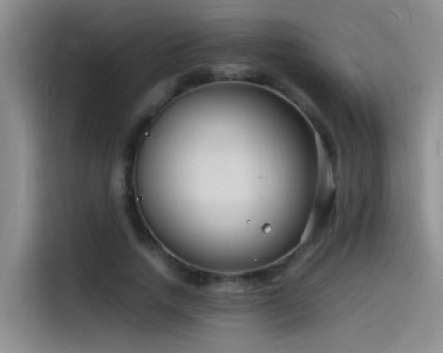 X0000115510738200911061356
