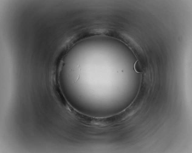 X0000115510739200911061356