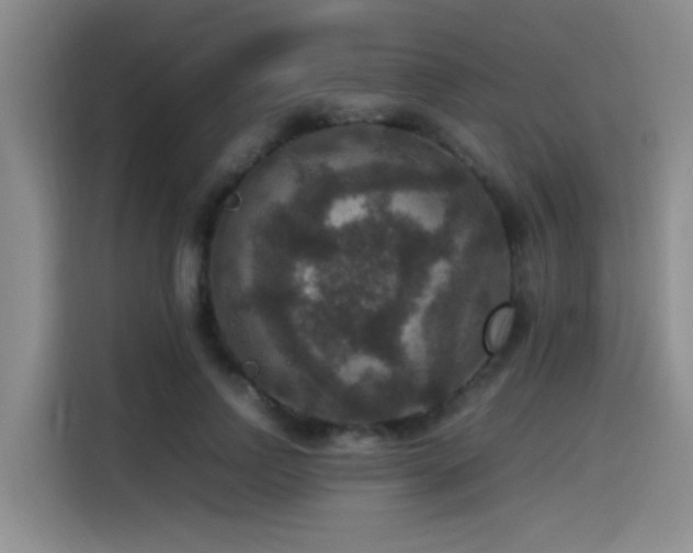X0000115510742200911061356