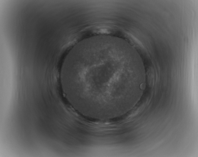 X0000115510747200911061356