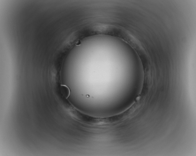 X0000115510750200911061356