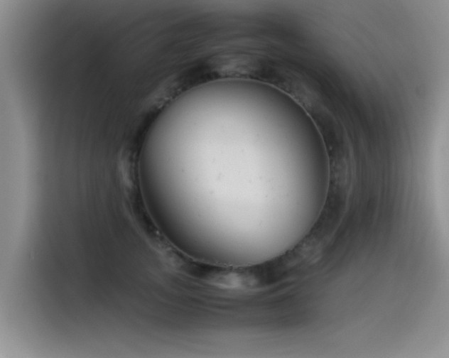 X0000115510755200911061356