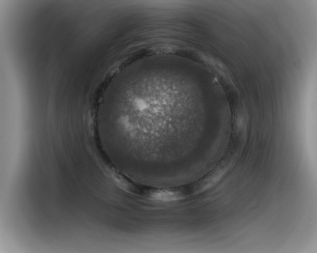 X0000115510759200911061356