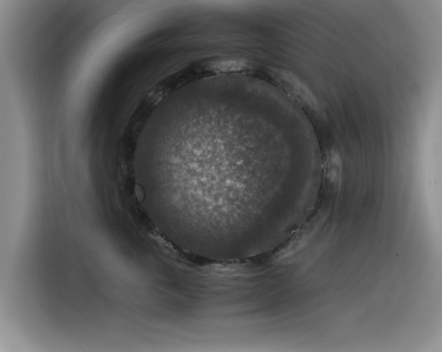 X0000115510763200911061356