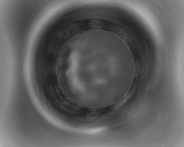 X0000115510765200911061356