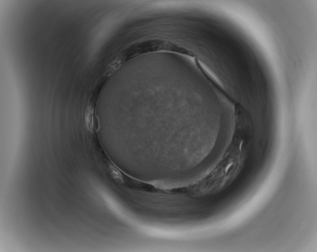 X0000115510766200911061356