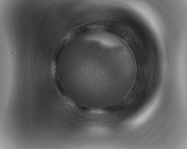 X0000115510767200911061356
