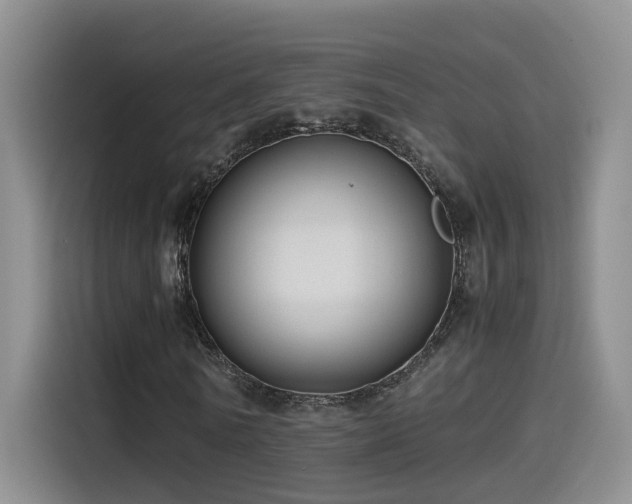 X0000115510770200911061356