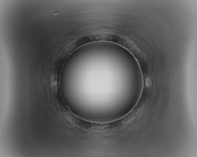 X0000115510771200911061356