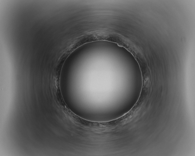 X0000115510772200911061356
