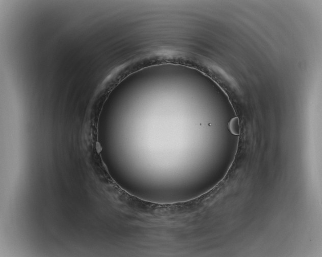 X0000115510776200911061356