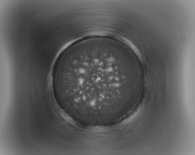 X0000115510779200911061355