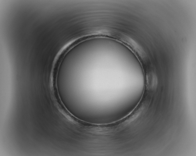 X0000115510780200911061355