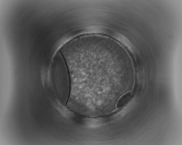 X0000115510781200911061355