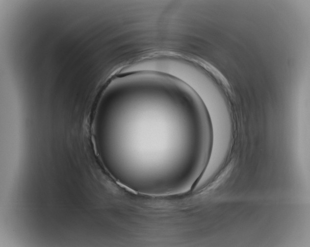 X0000115510785200911061355