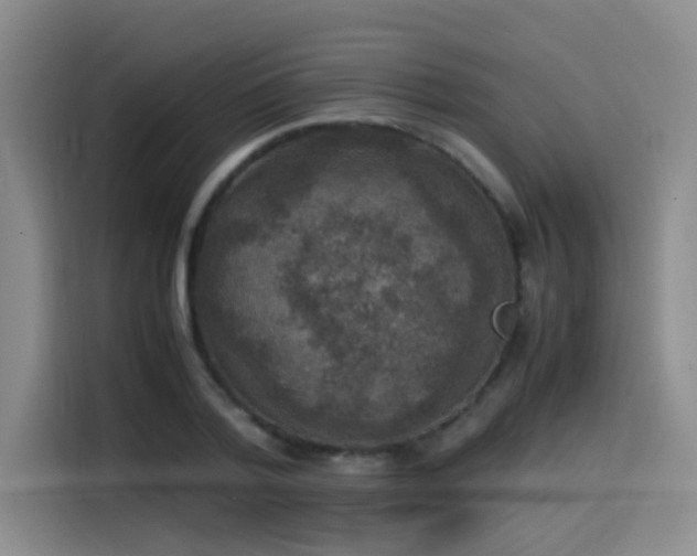 X0000115510788200911061355