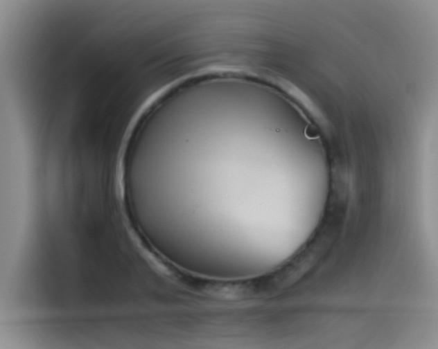 X0000115510791200911061355