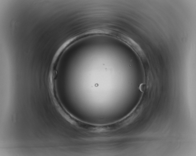 X0000115510796200911061355