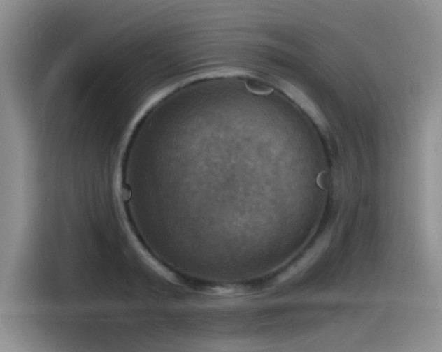 X0000115510797200911061355