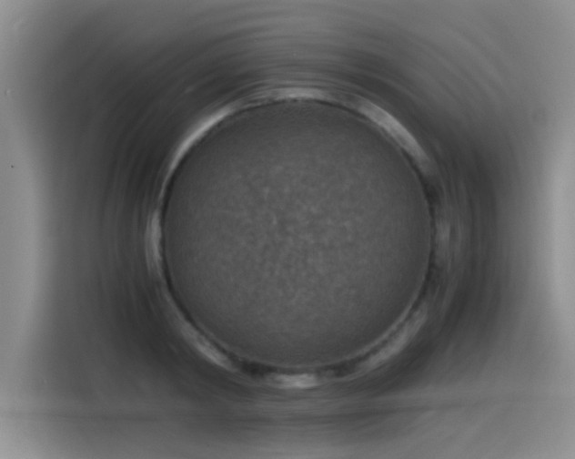 X0000115510798200911061355