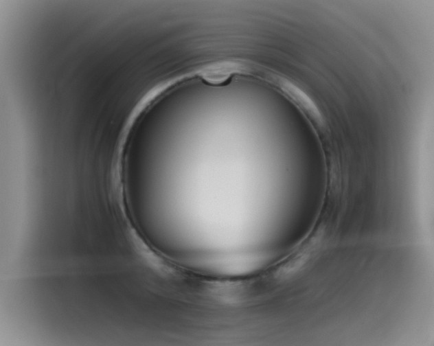 X0000115510800200911061355