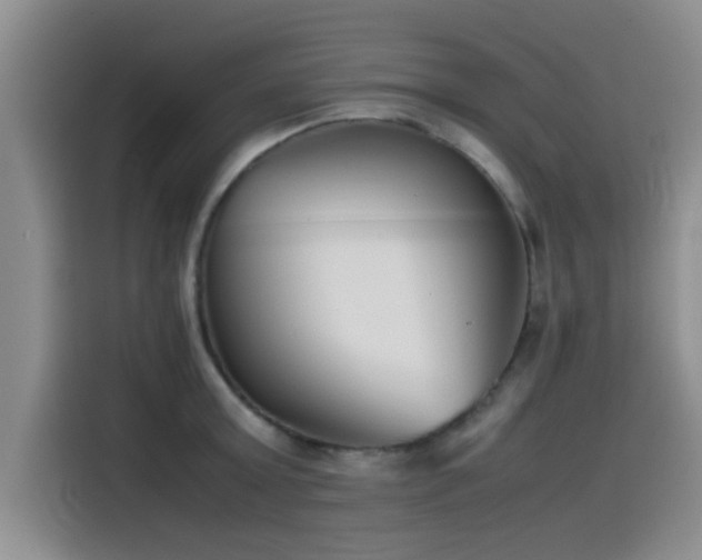 X0000115510803200911061355