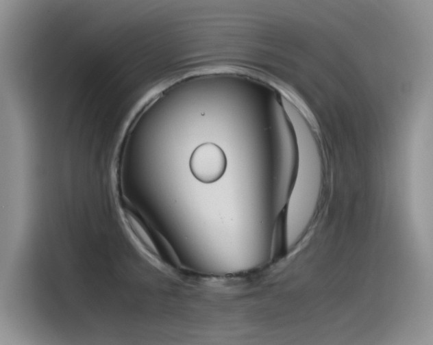 X0000115510805200911061355