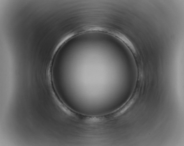 X0000115510806200911061355
