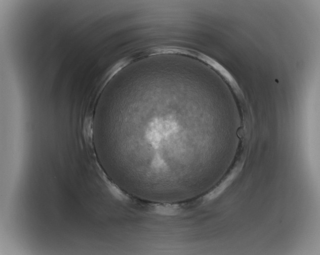 X0000115510809200911061355