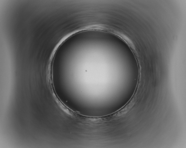 X0000115510816200911061355