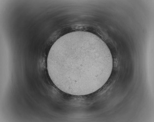 X0000115510820200911061354
