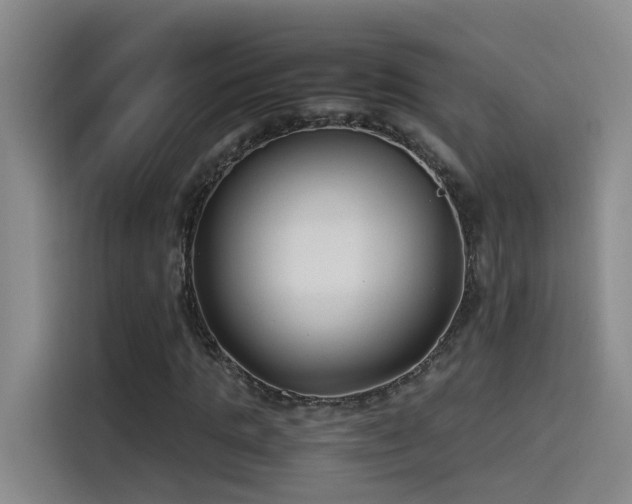 X0000115510821200911061354